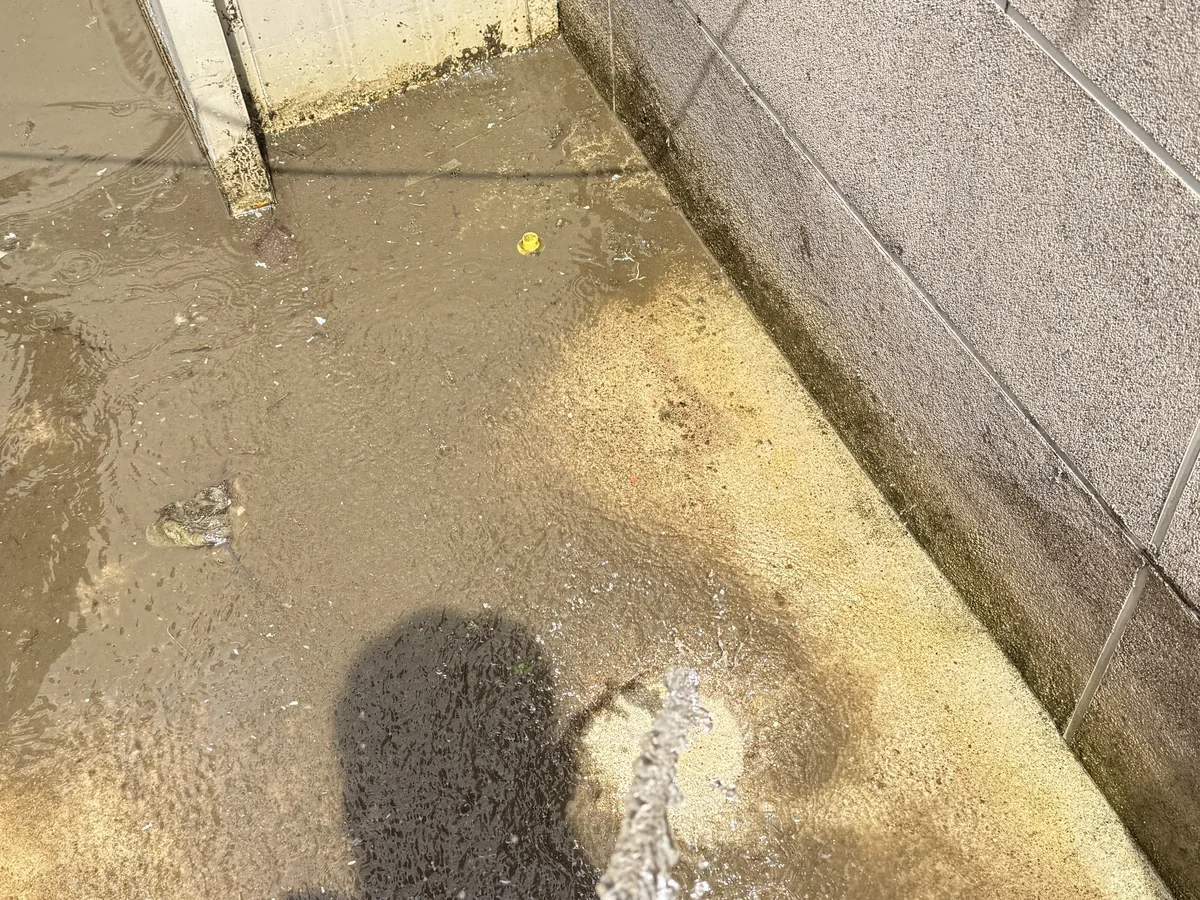 삼척시 오사동 배관 관리실·기계실 위생청소 사례 - 행진크린