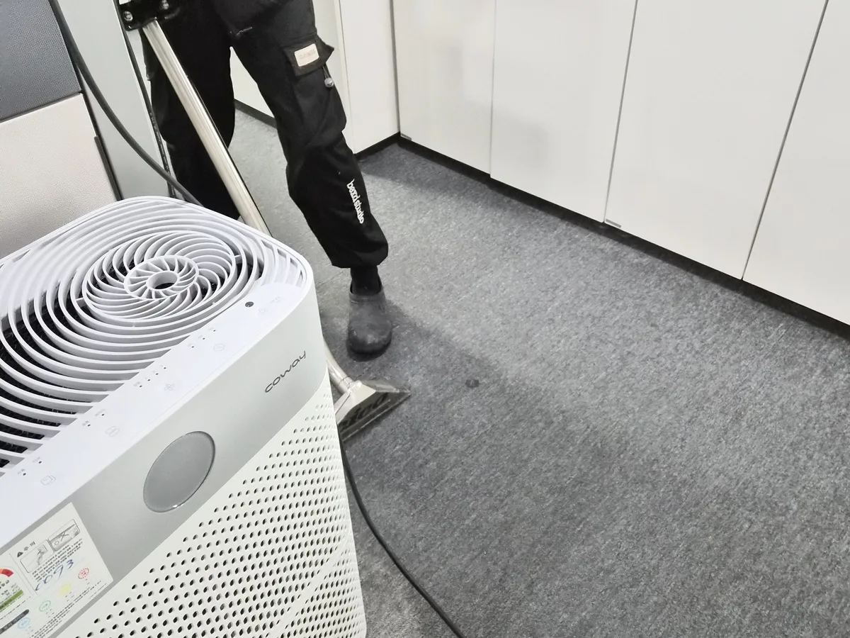 철원군 동송읍 사업장 로비·복도 카페트 바닥 위생청소 사례 - 행진크린